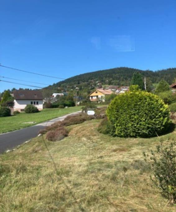 Les Deux Maisons - Little Green - Maison Cosy Proche Pistes Et Lac Gérardmer Exterior foto